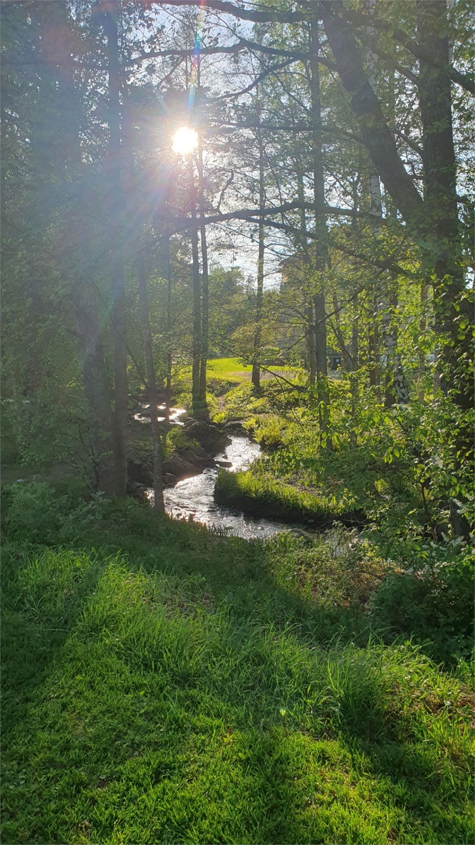 På gång – bild 29