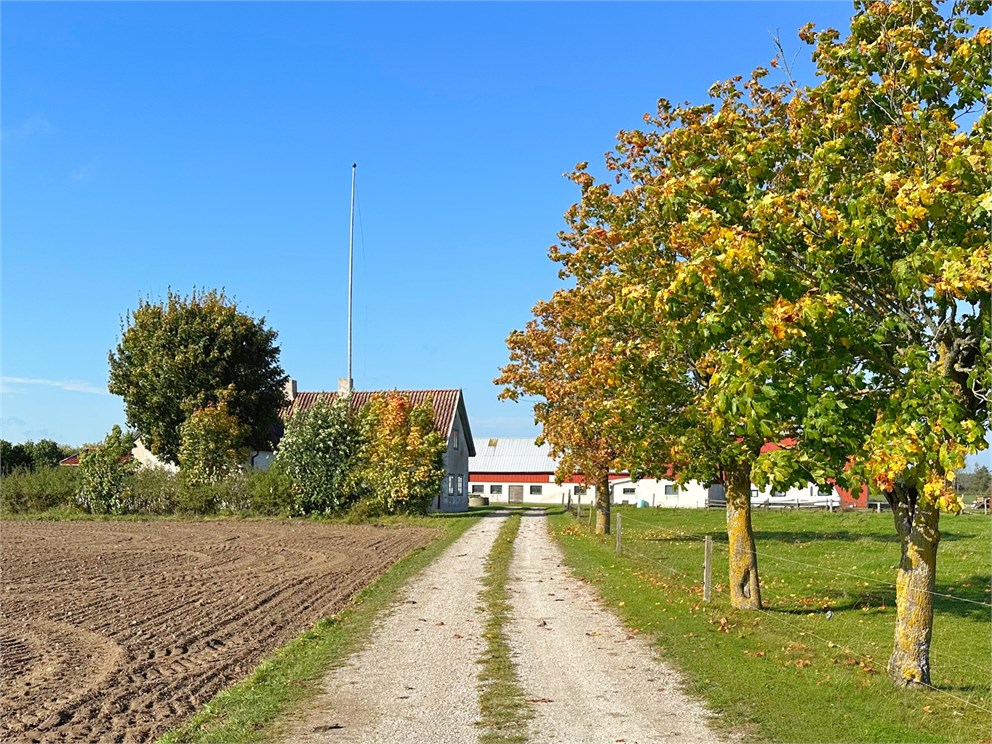 Alskog Bofride 430