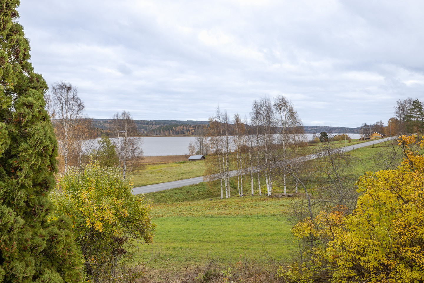 tors 5/11 – bild 22