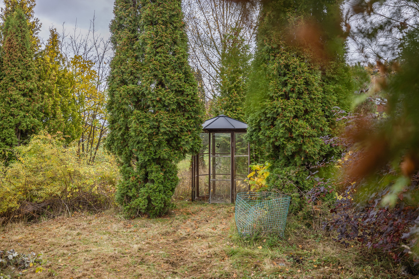 tors 5/11 – bild 35