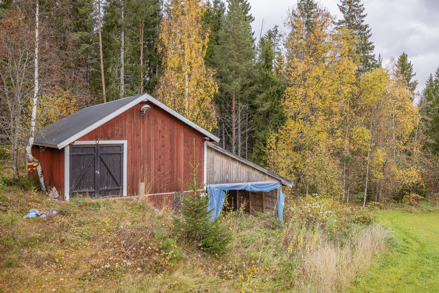 tors 5/11 – bild 28