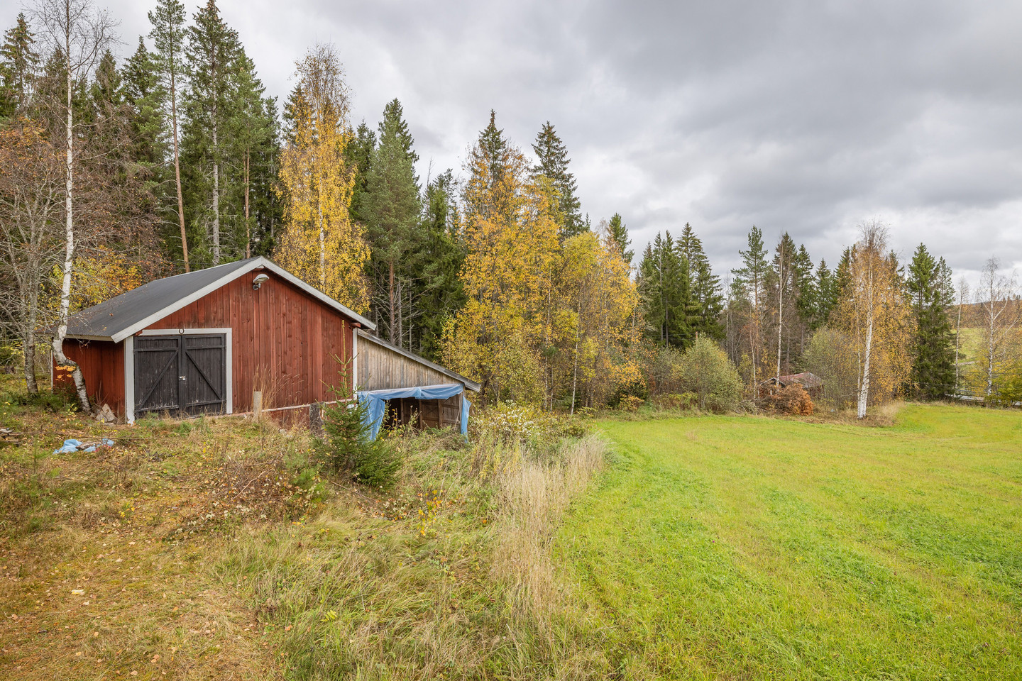 tors 5/11 – bild 27
