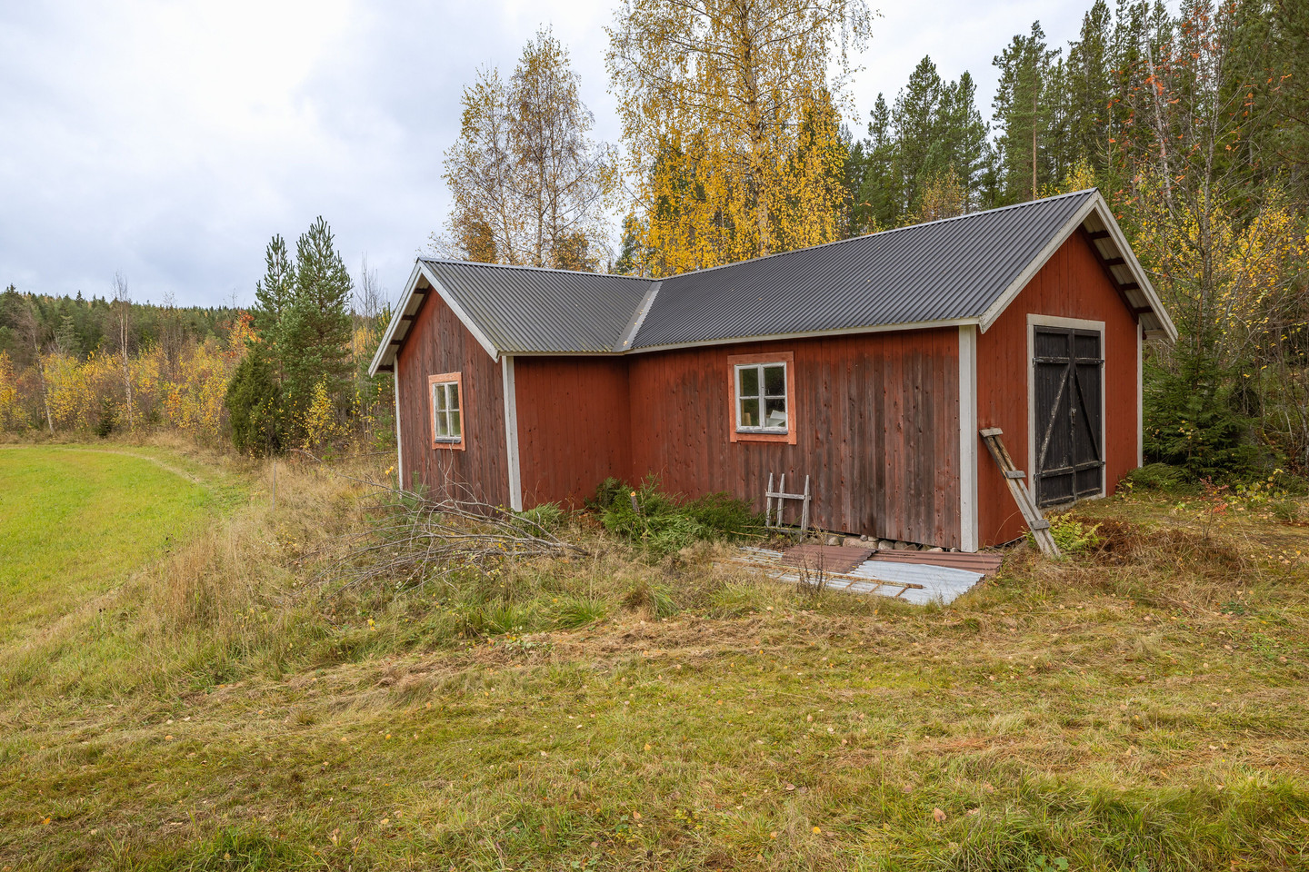 tors 5/11 – bild 31