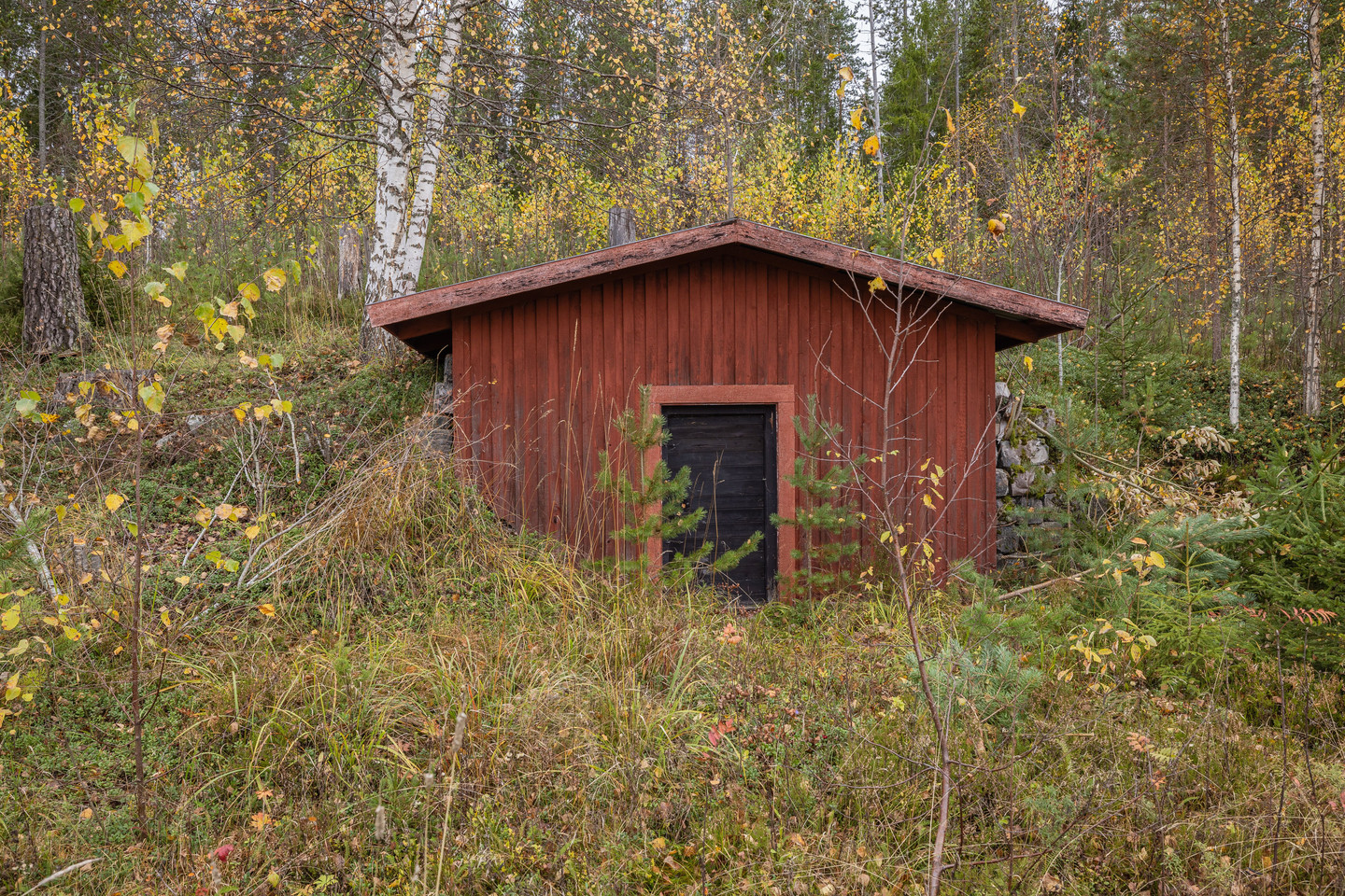 tors 5/11 – bild 32
