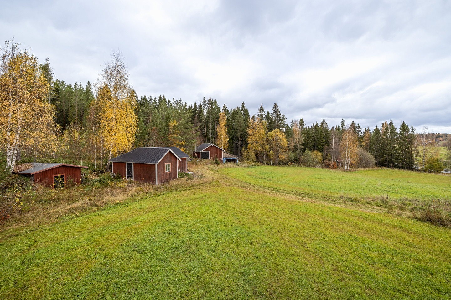 tors 5/11 – bild 3