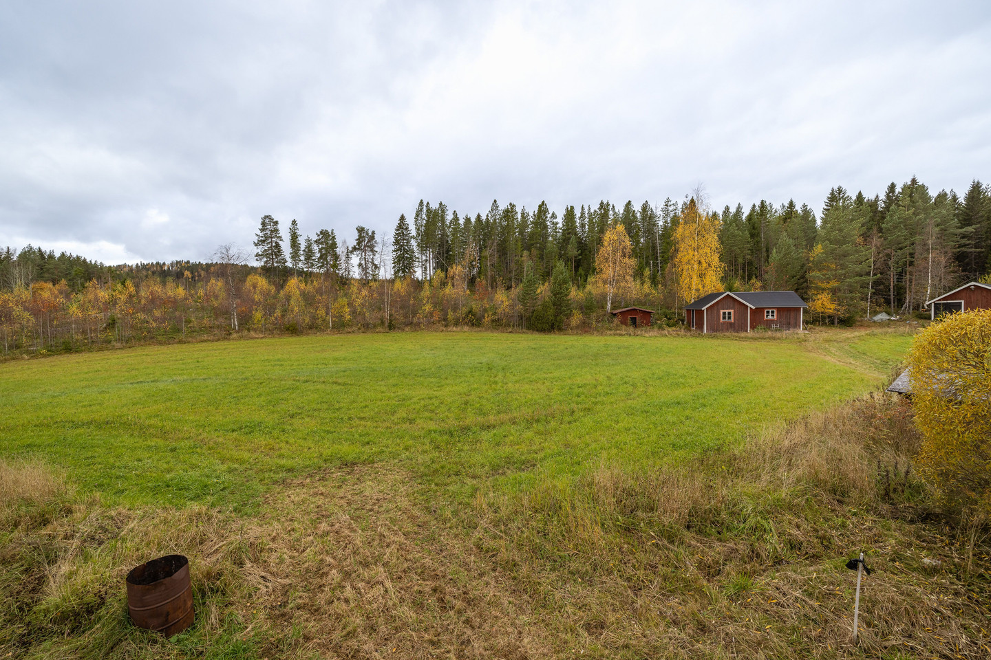 tors 5/11 – bild 30