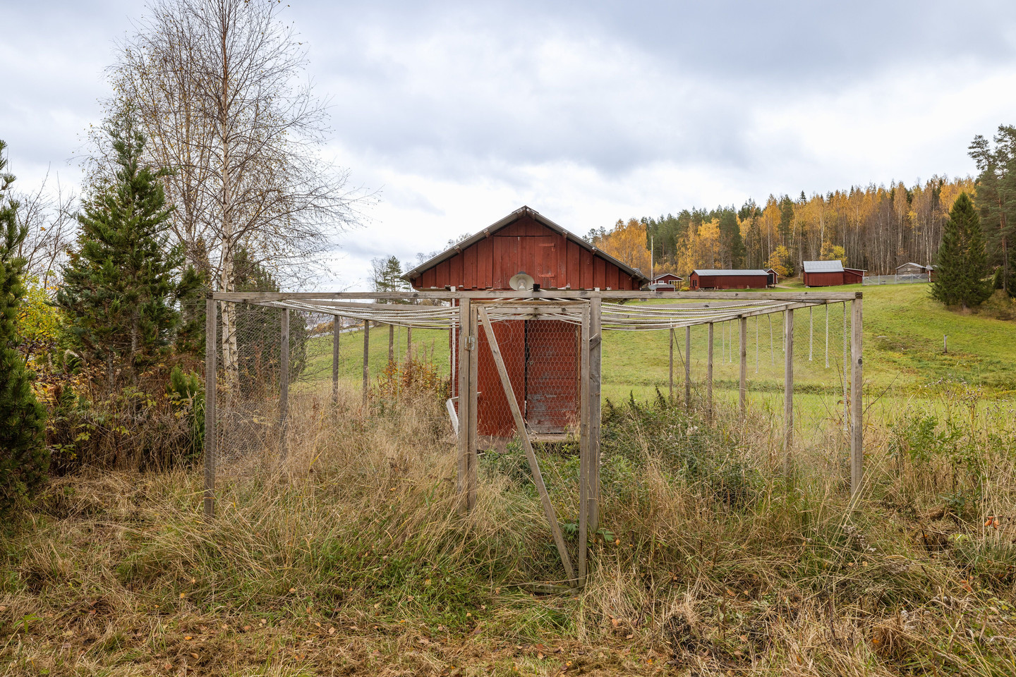 tors 5/11 – bild 34