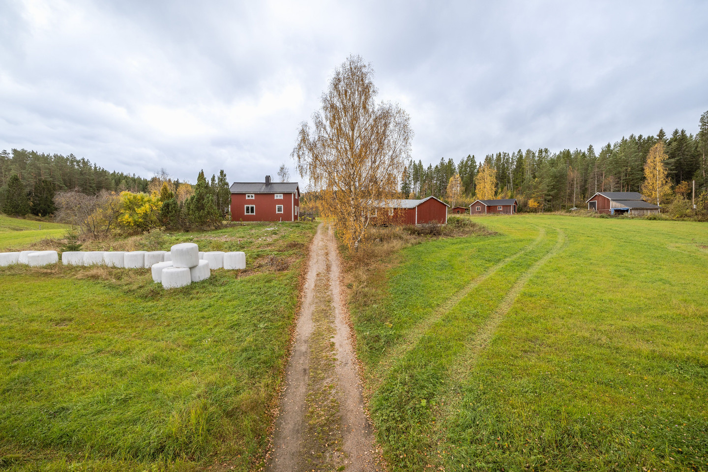 tors 5/11 – bild 4