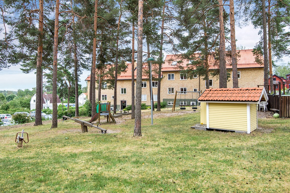 sön 1/11 – bild 12