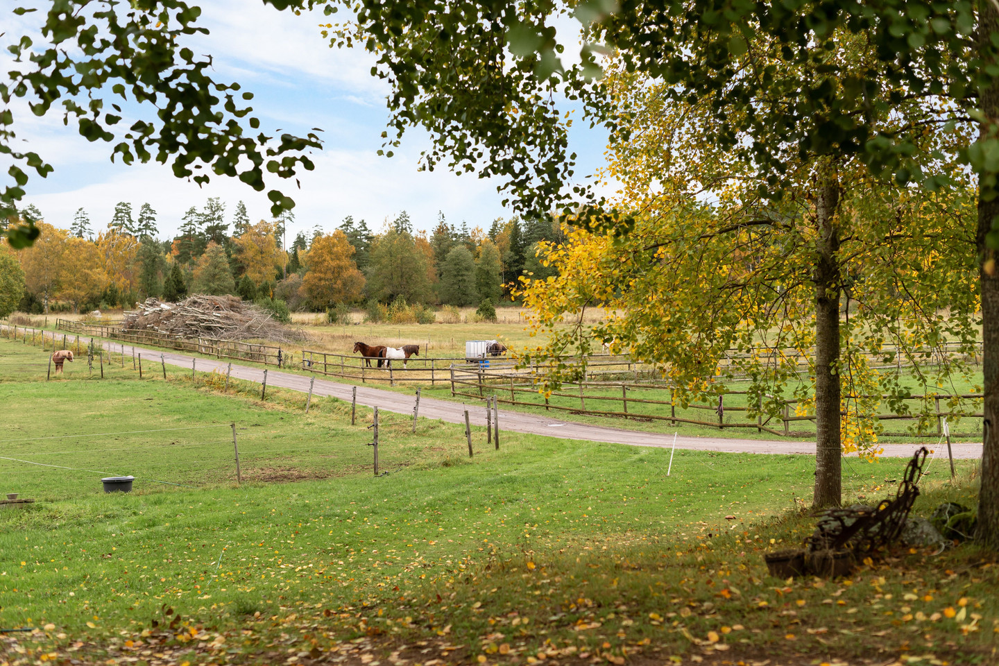 sön 1/11 – bild 57