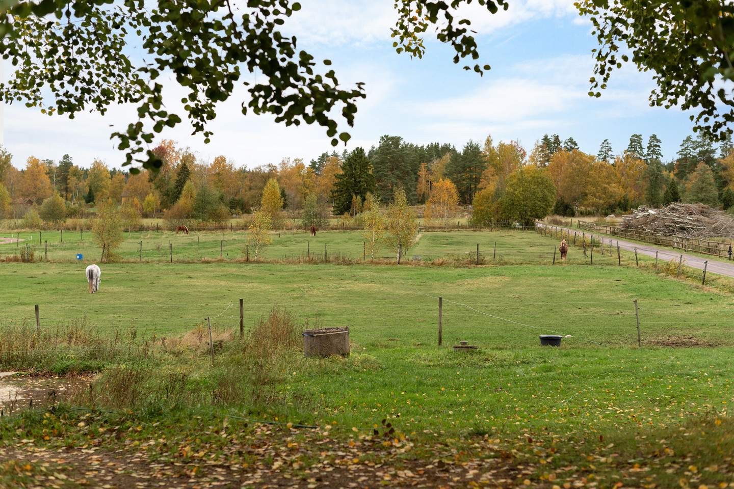 sön 1/11 – bild 37