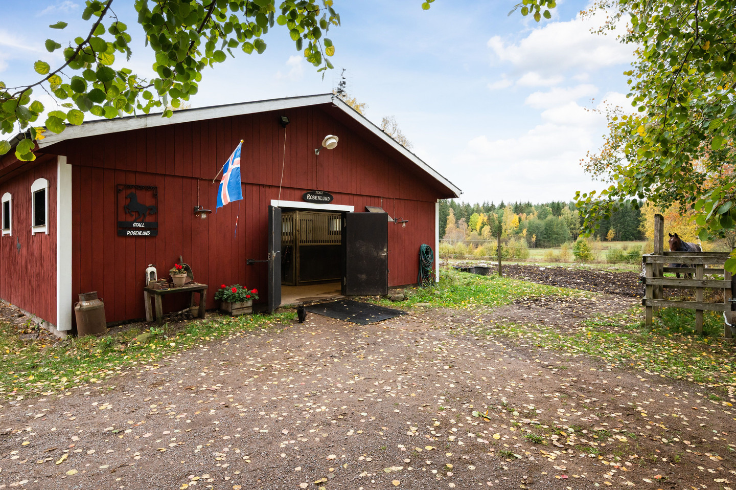 sön 1/11 – bild 44