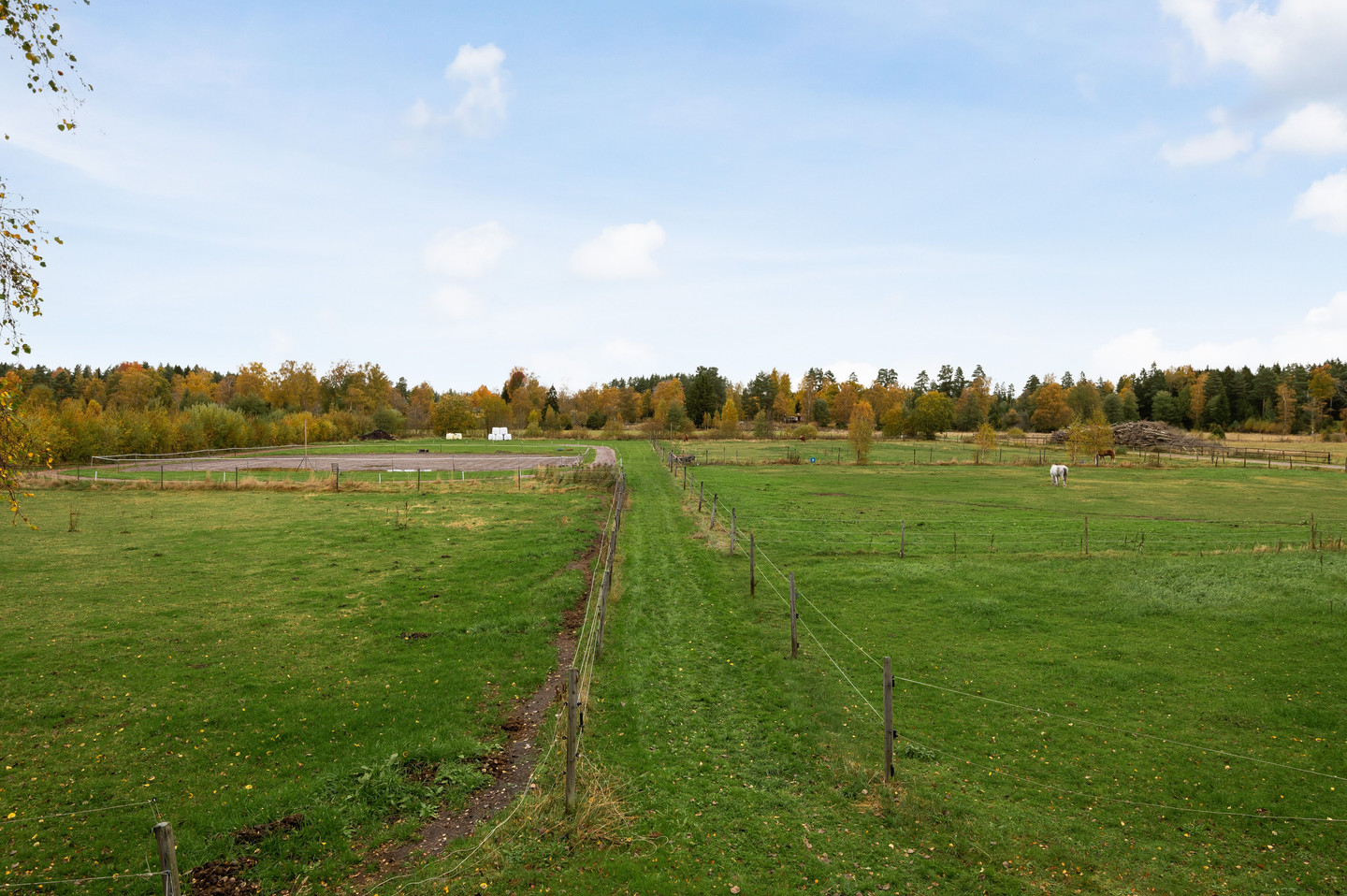 sön 1/11 – bild 38