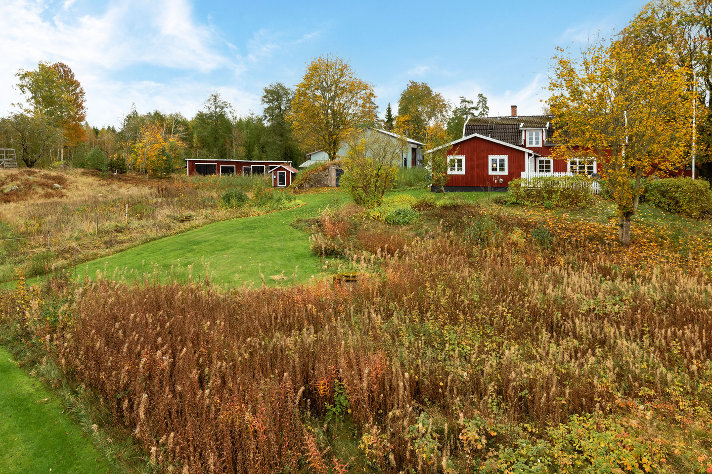 sön 1/11 – bild 35