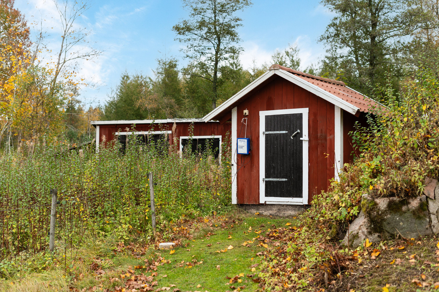 sön 1/11 – bild 73