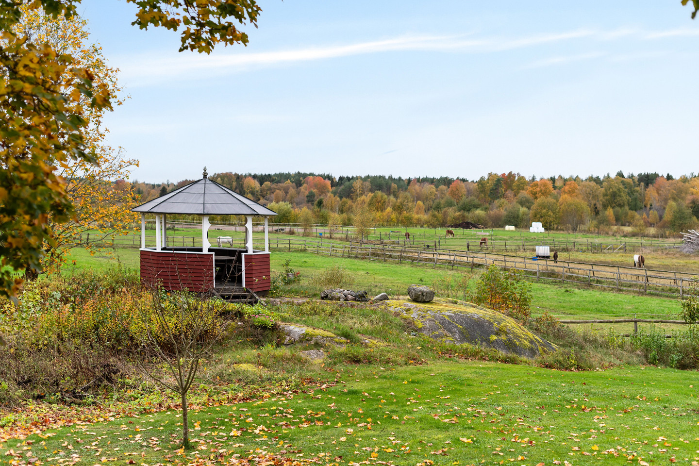 sön 1/11 – bild 75