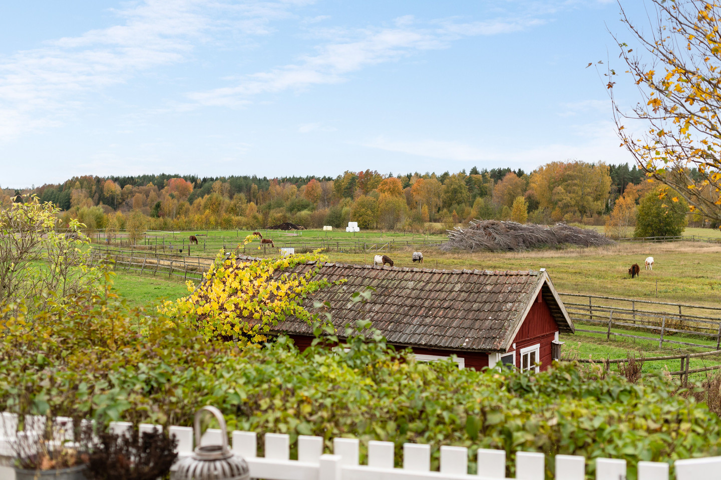sön 1/11 – bild 34