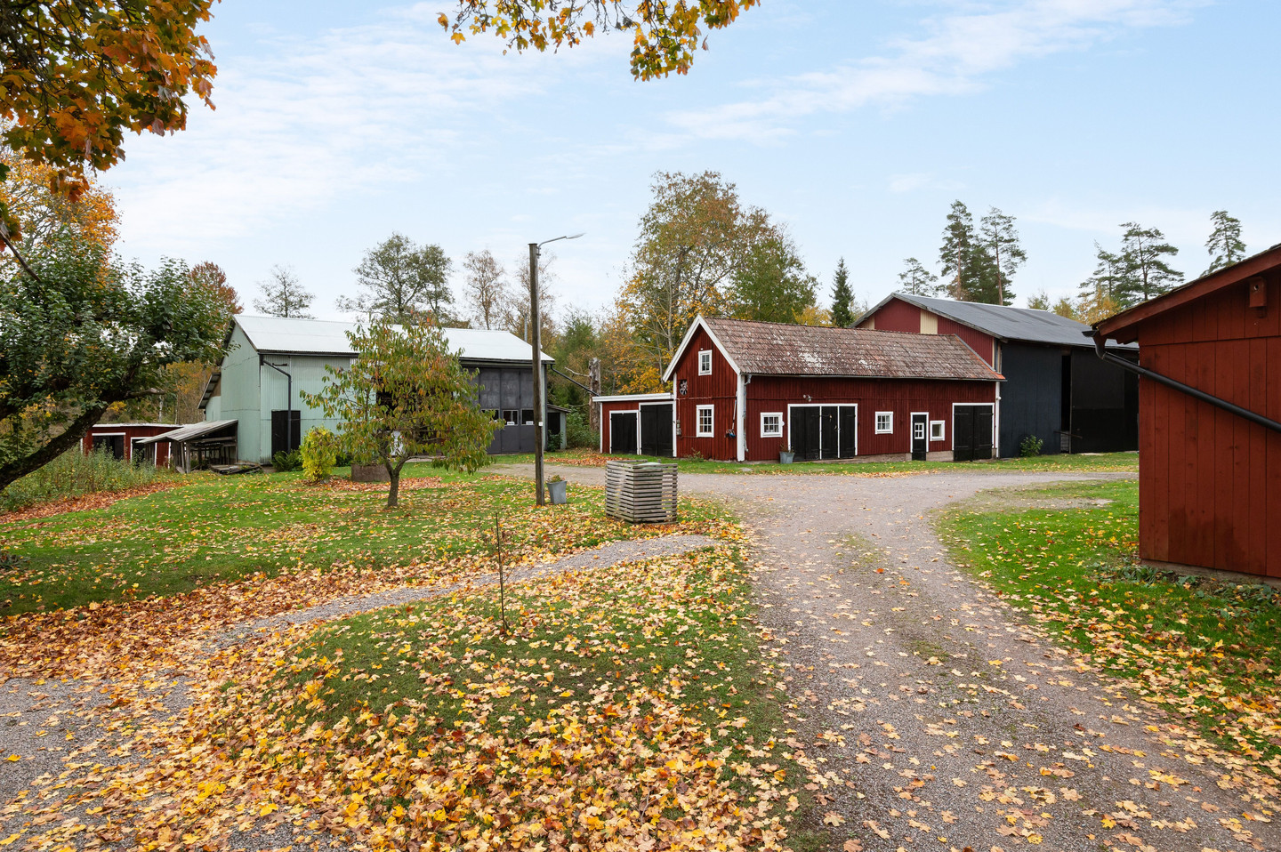 sön 1/11 – bild 59