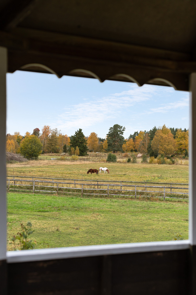sön 1/11 – bild 77