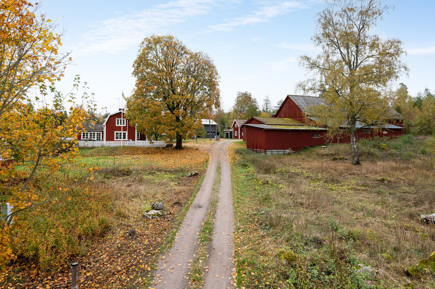 sön 1/11 – bild 58