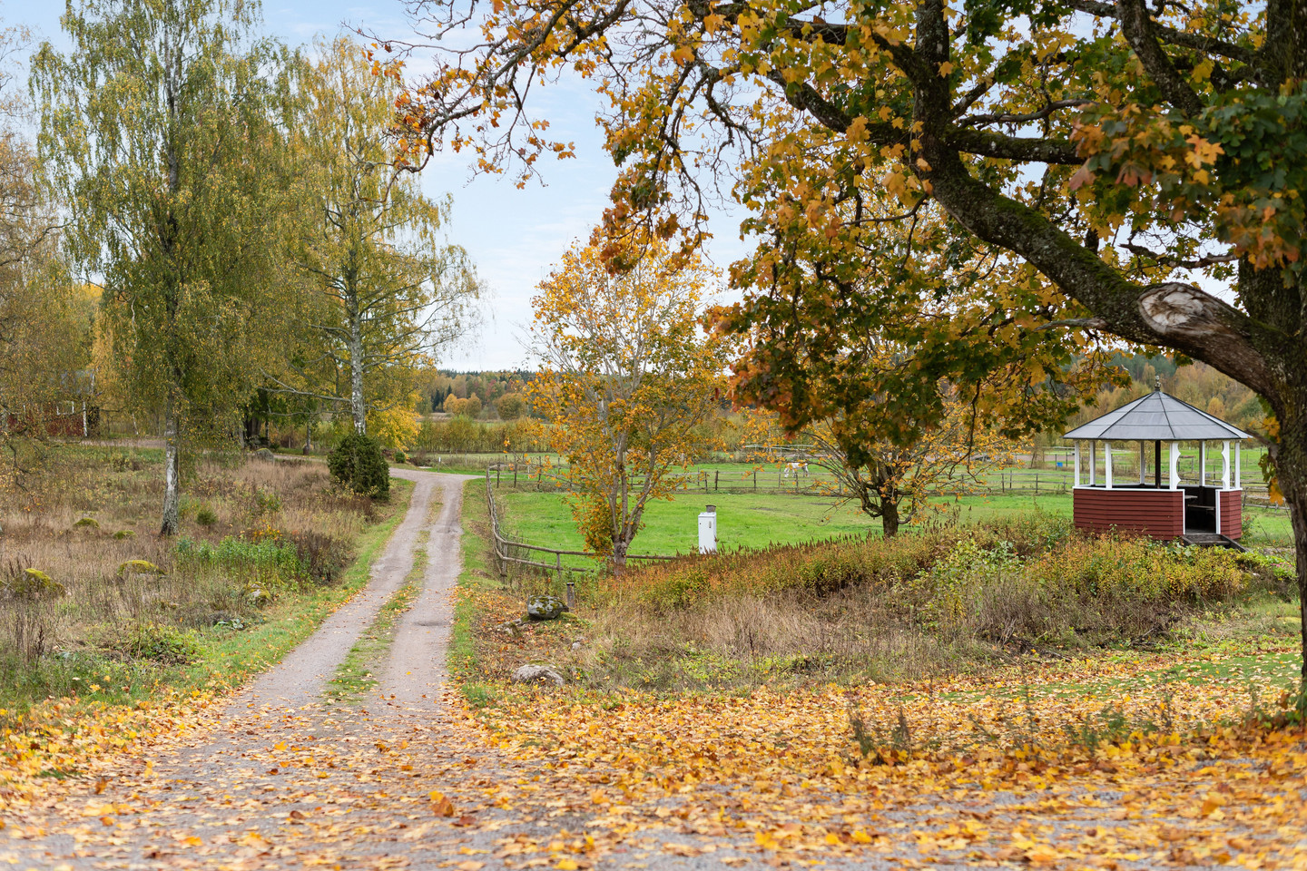 sön 1/11 – bild 78