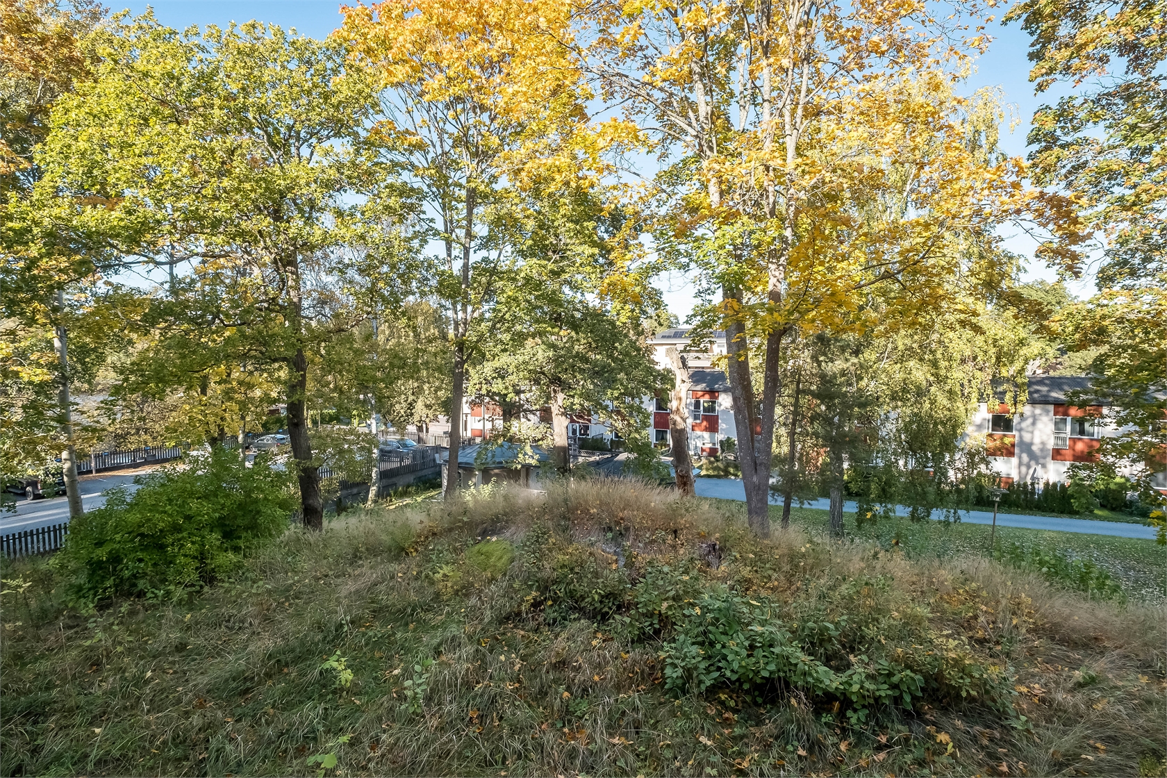 sön 1/11 – bild 3