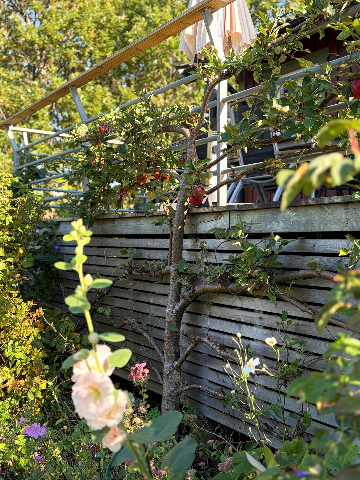 På gång – bild 5