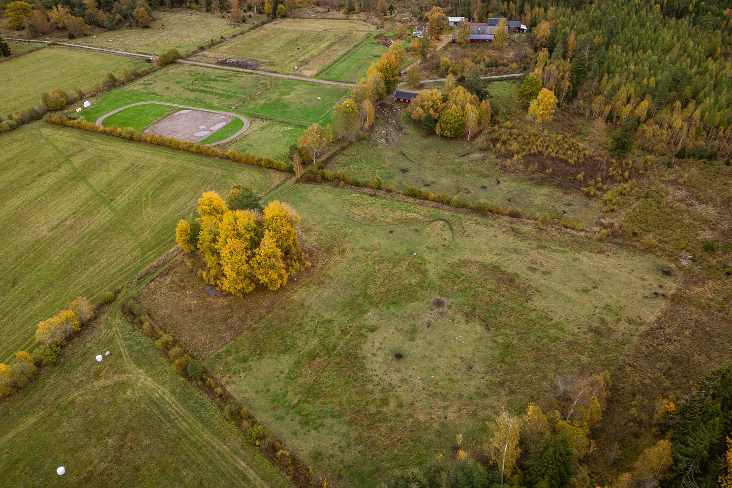 sön 1/11 – bild 87