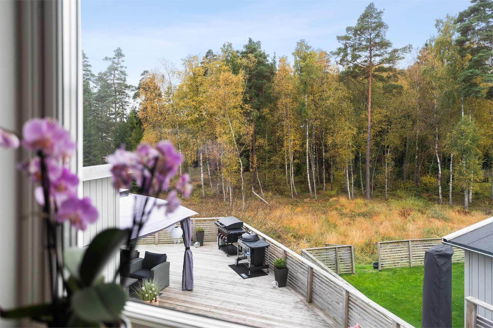 sön 8/11 – bild 33