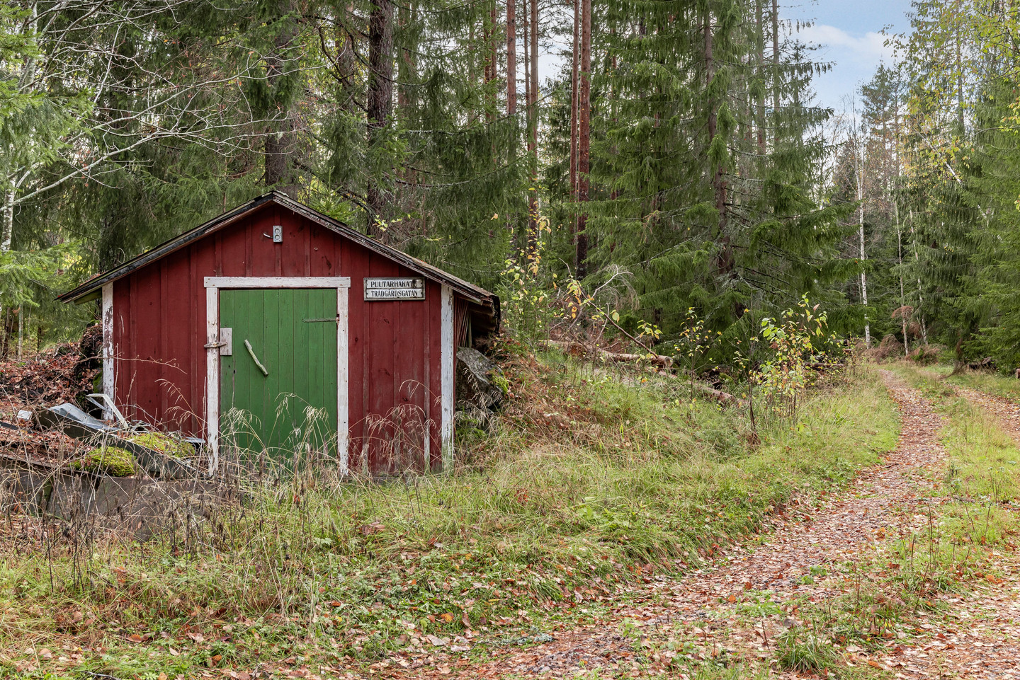 ons 4/11 – bild 4