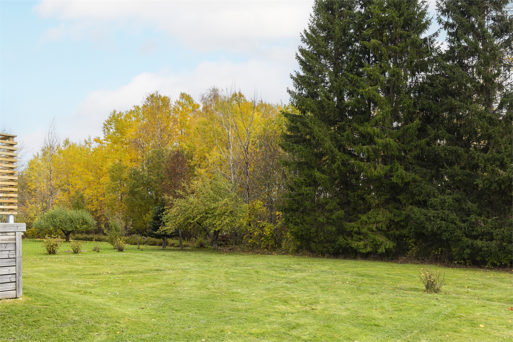 tis 3/11 – bild 48