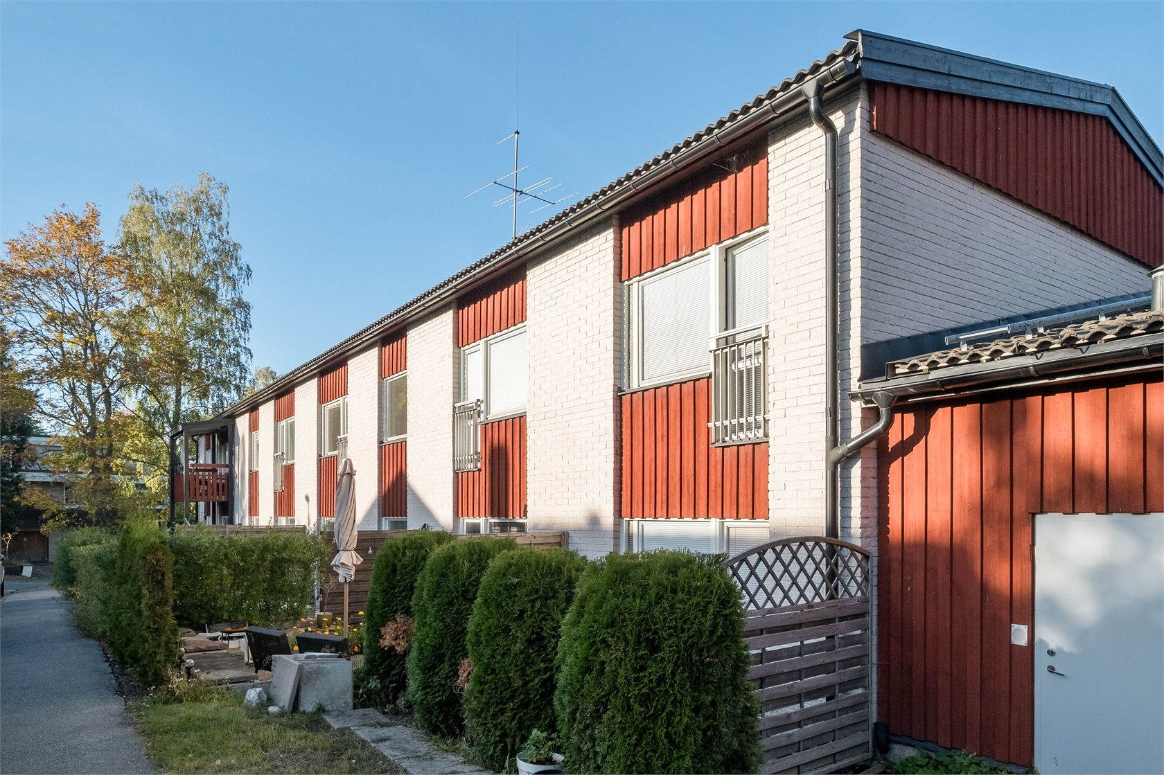 sön 1/11 – bild 17