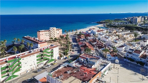 Mil Palmeras | Torrevieja