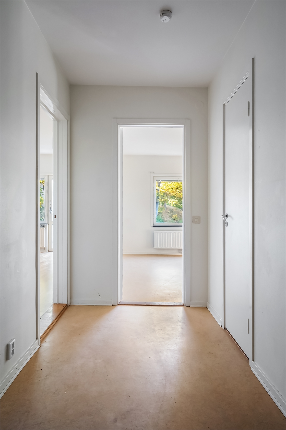 sön 1/11 – bild 8