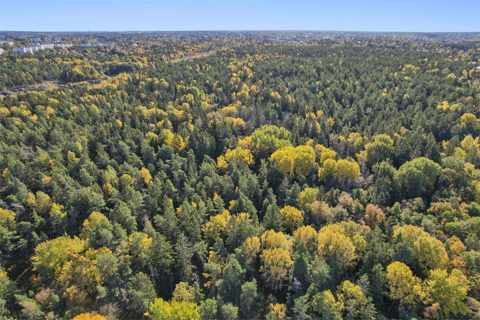 tors 22/10 – bild 37