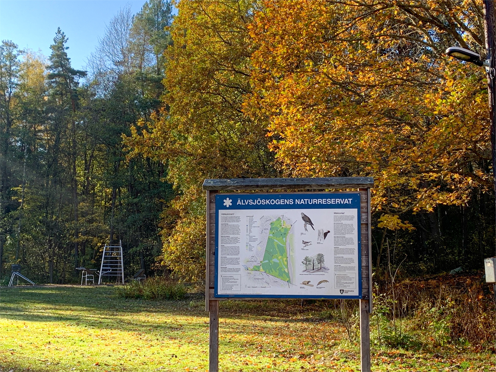 tors 22/10 – bild 38