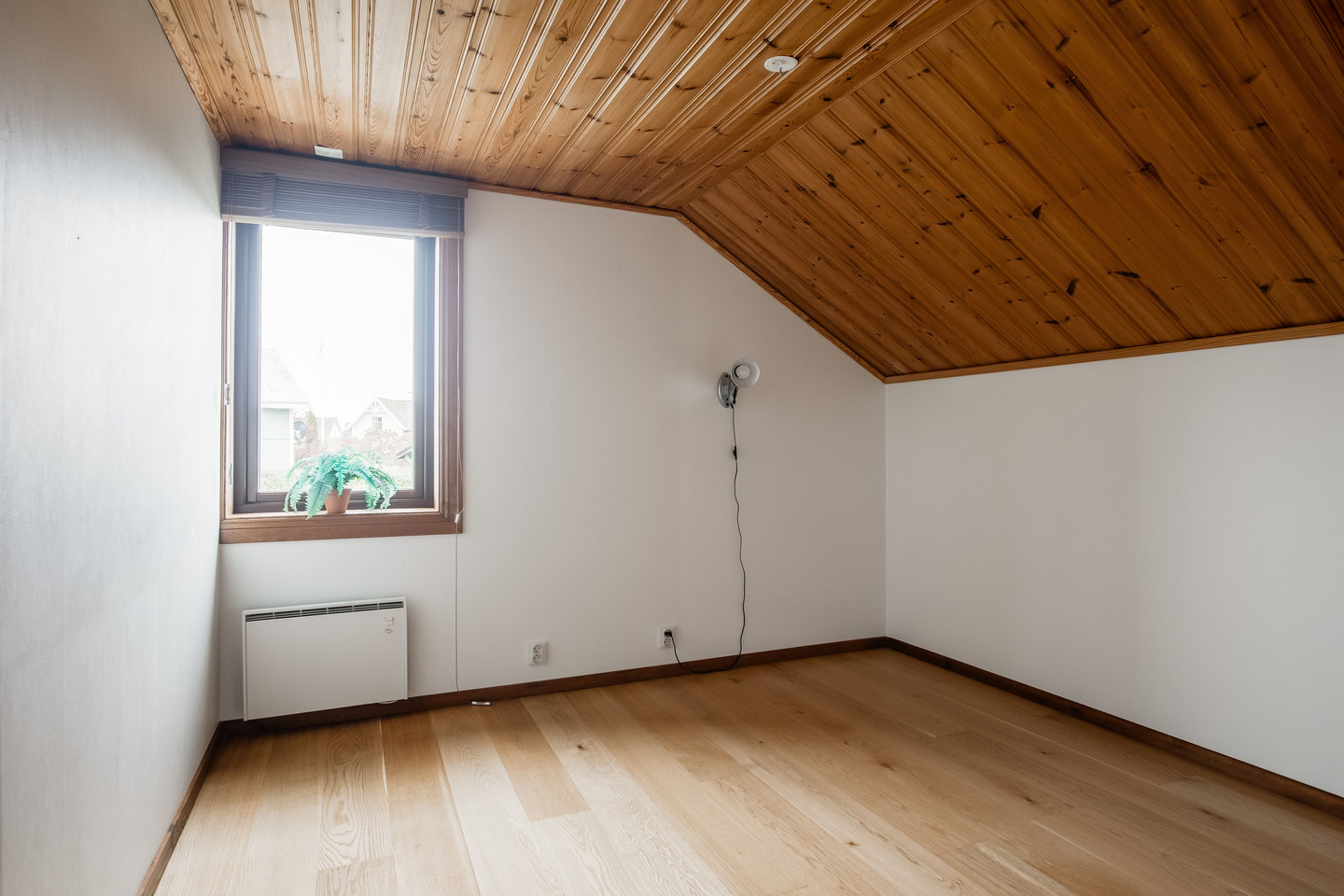 fre 30/10 – bild 24