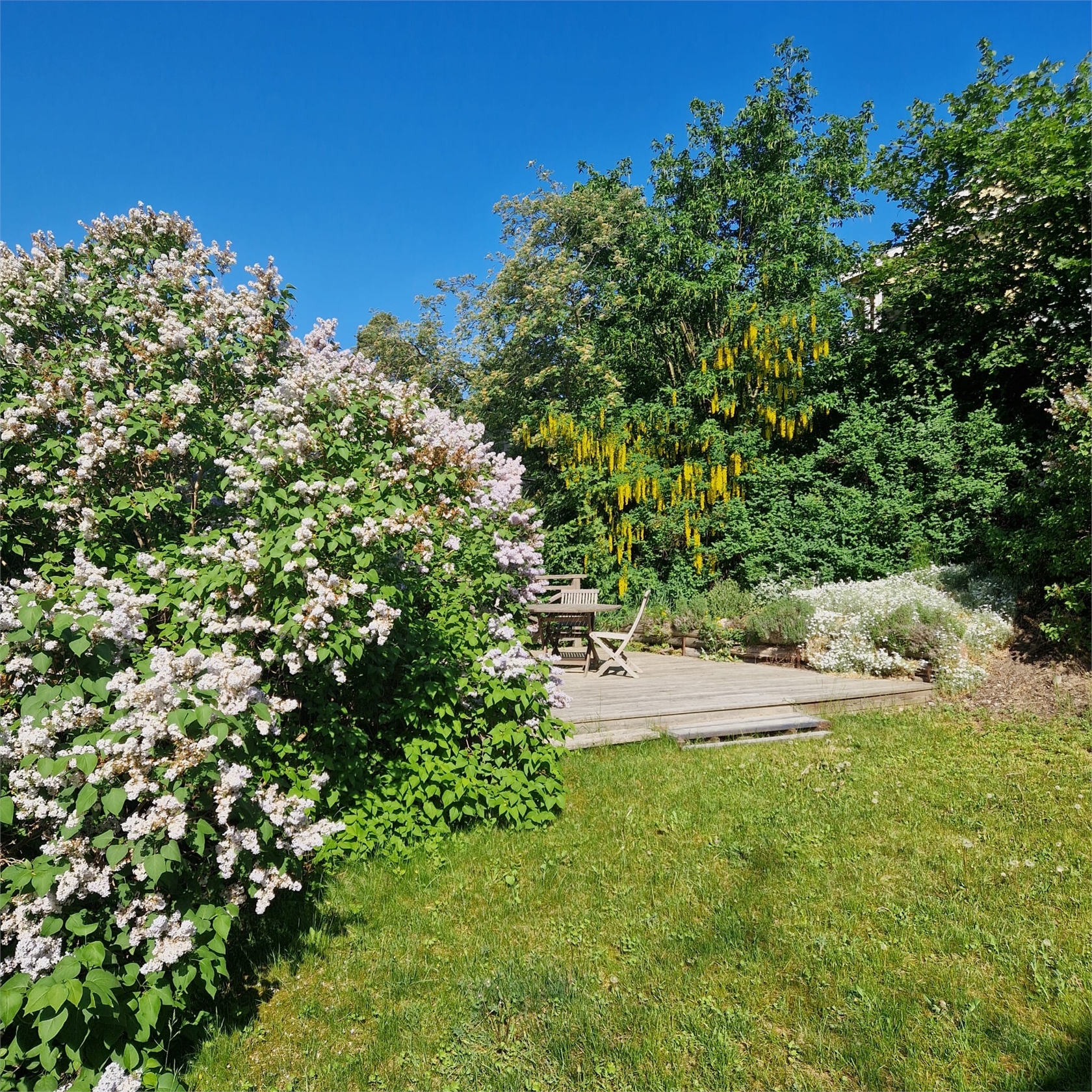 På gång – bild 51