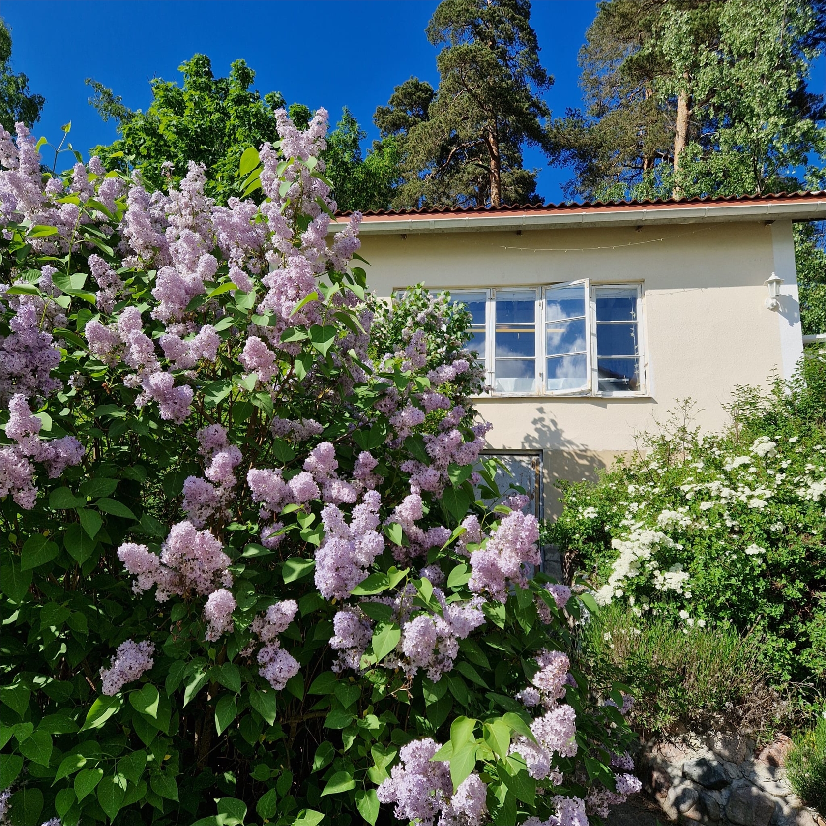 På gång – bild 48