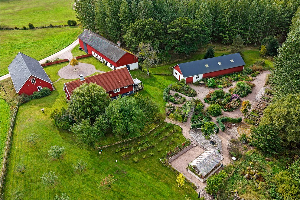 Stora Skuddarp 204