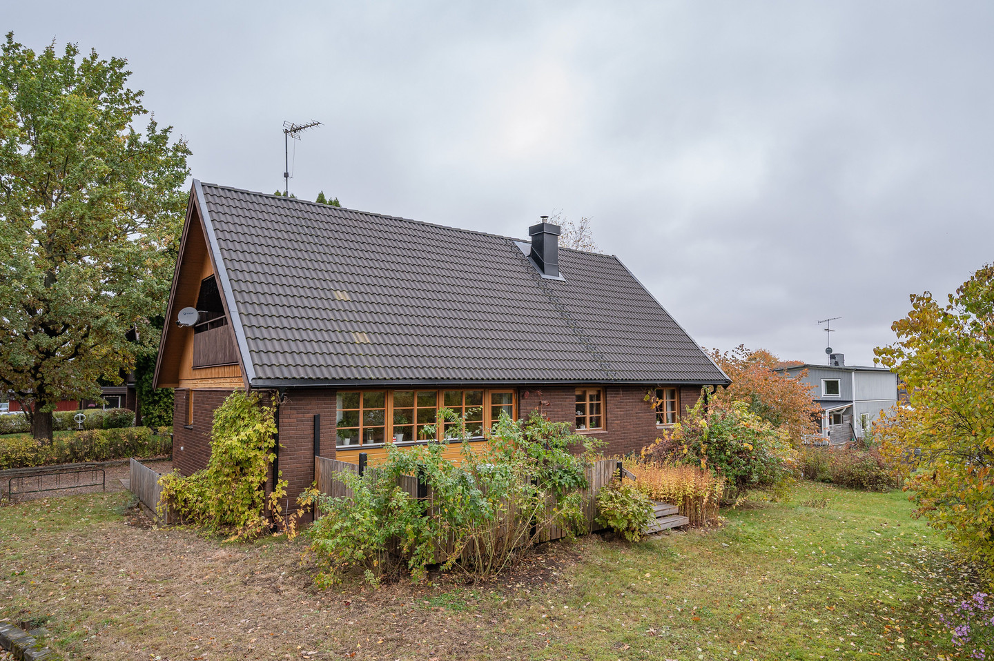sön 8/11 – bild 2