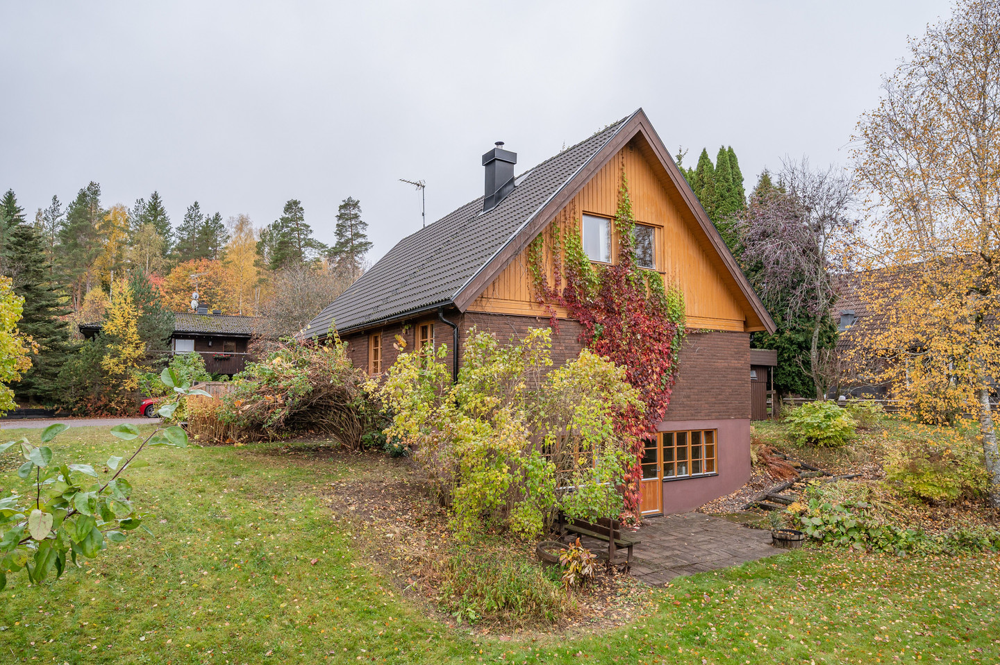 sön 8/11 – bild 3