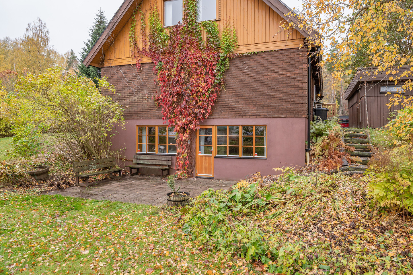 sön 8/11 – bild 4