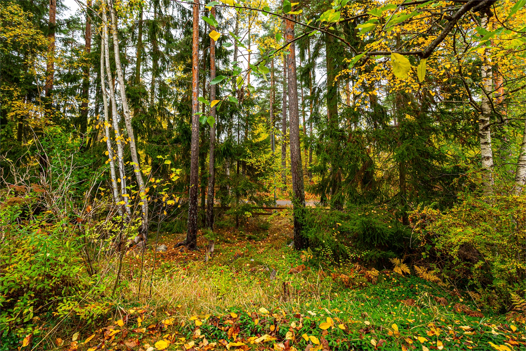 lör 31/10 – bild 26
