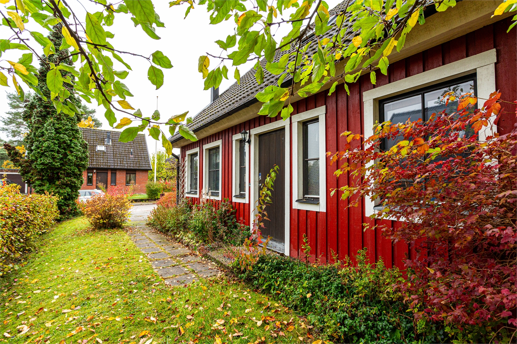 lör 31/10 – bild 5