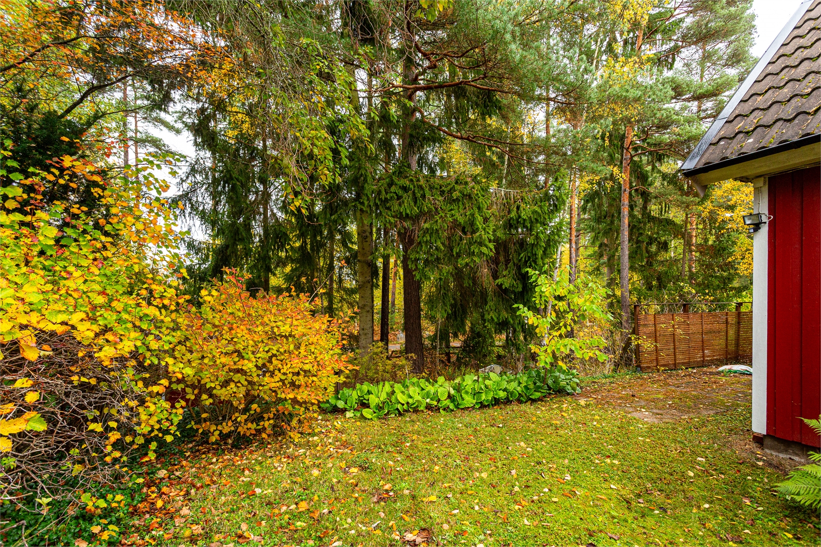 lör 31/10 – bild 23