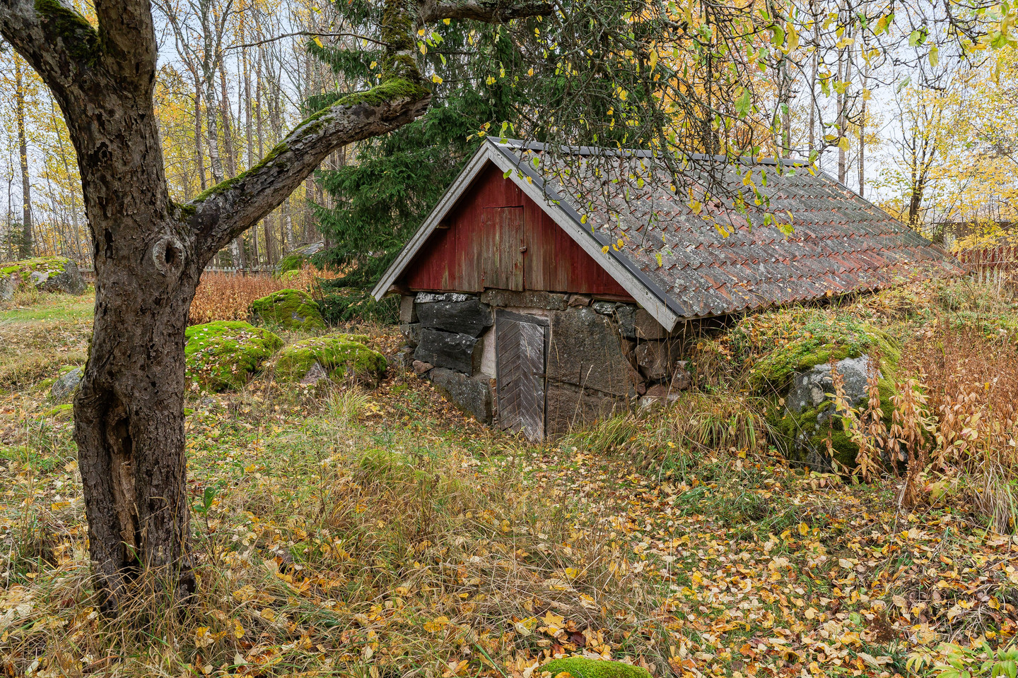 lör 31/10 – bild 33
