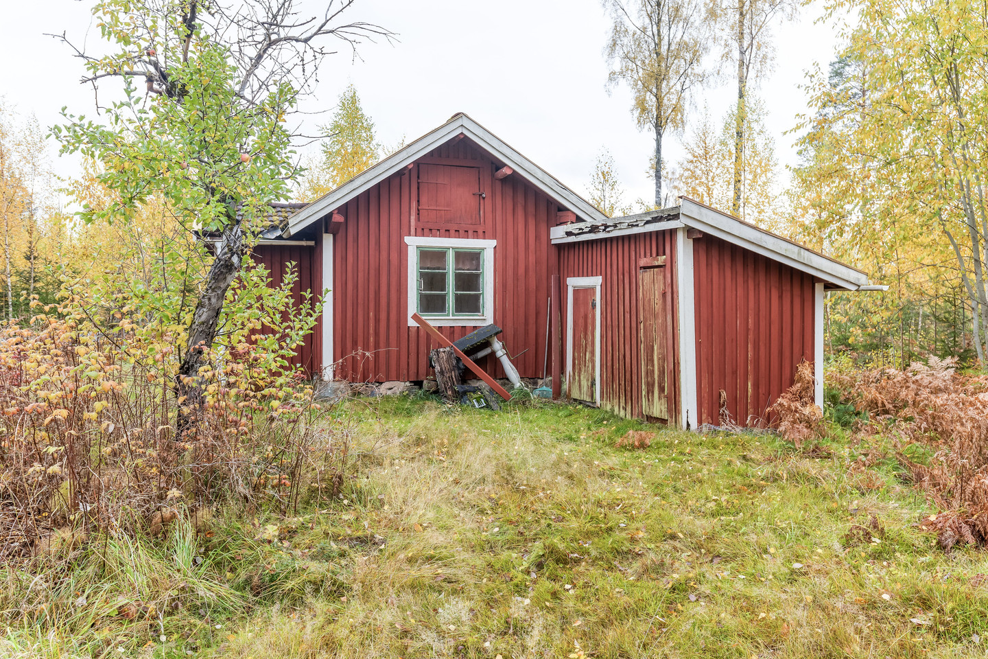 lör 31/10 – bild 10