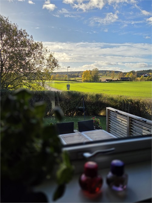 Säljarens bild