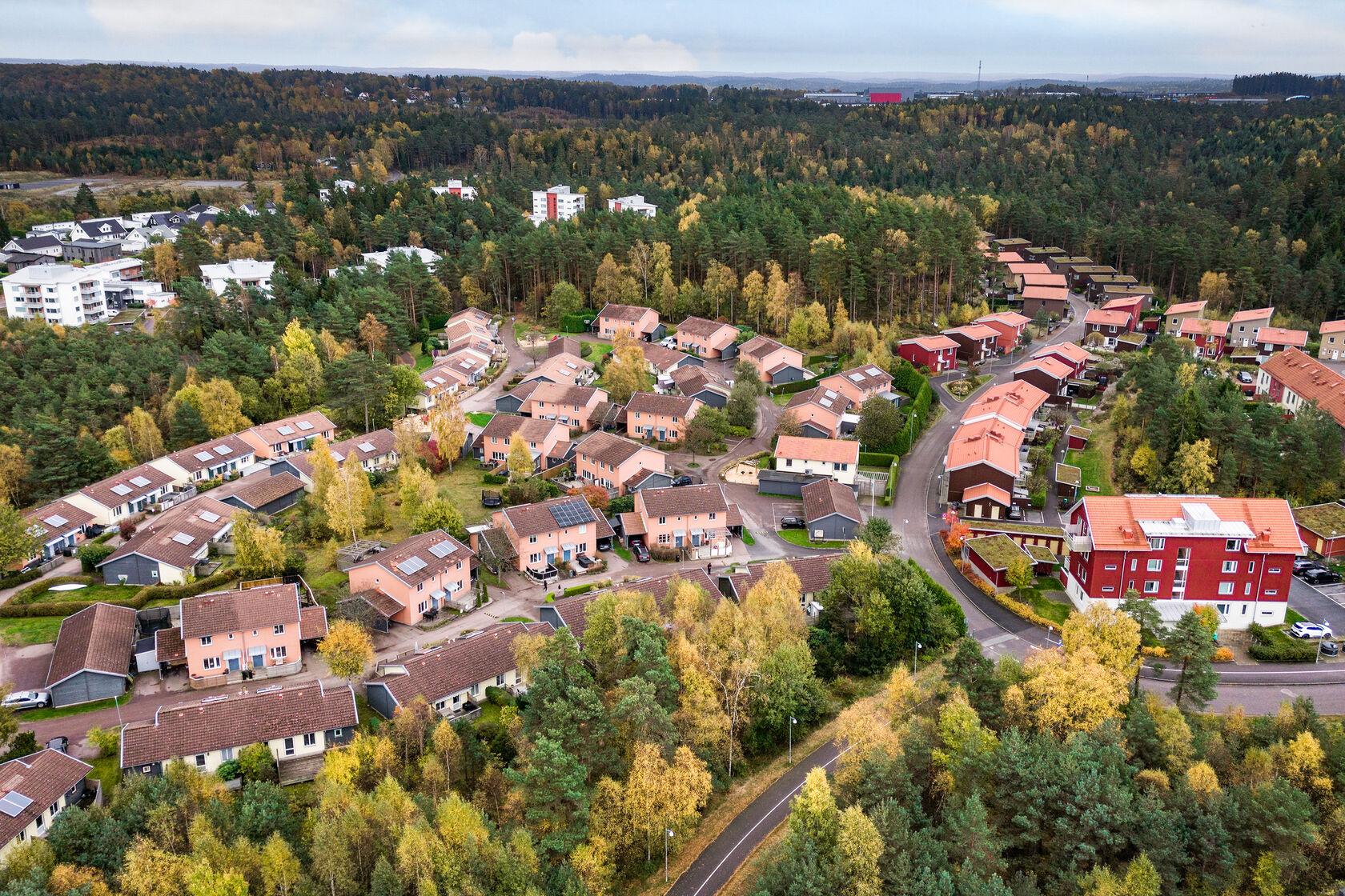 sön 25/10 – bild 31